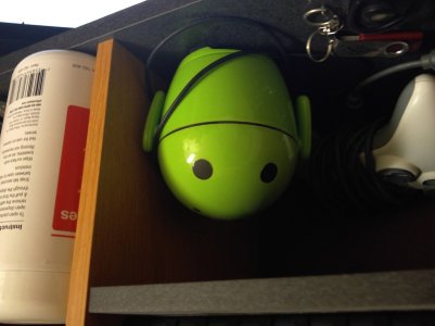 20150616_113450-L1.jpg