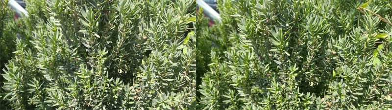 hdr-compare-4.jpg hdr-compare-4.jpg