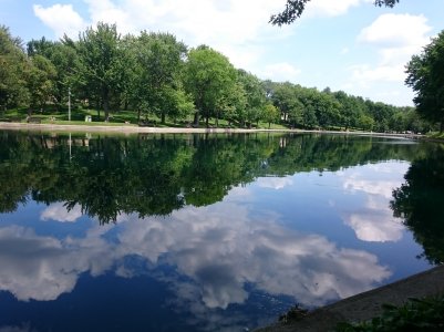 DSC_0876.jpg