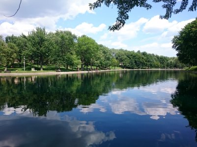 DSC_0885.jpg