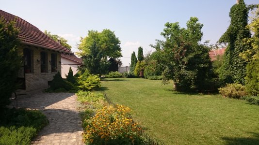 DSC_1005.jpg