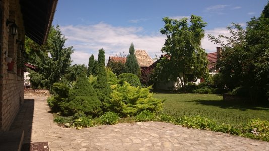 DSC_1010.jpg
