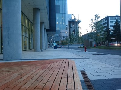 DSC_1111.jpg