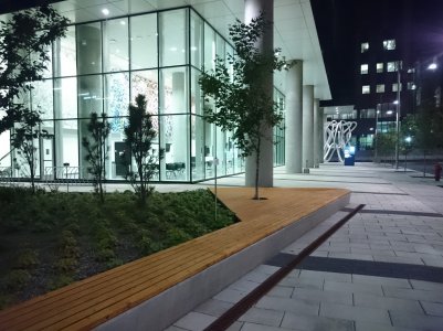 DSC_1125.jpg