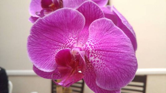 20150612_155037.jpg