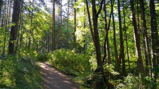 20150701_172856_HDR.jpg