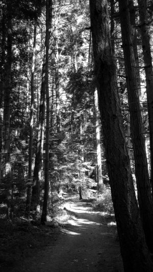 20150701_171428_HDR-01.jpg