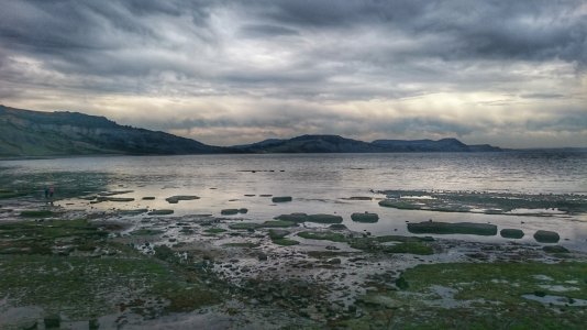 DSC_0094-01.jpg