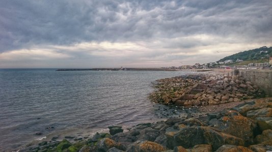 DSC_0078-01.jpg