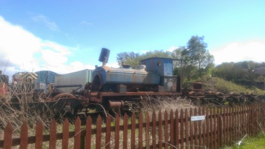 IMAG0233.jpg