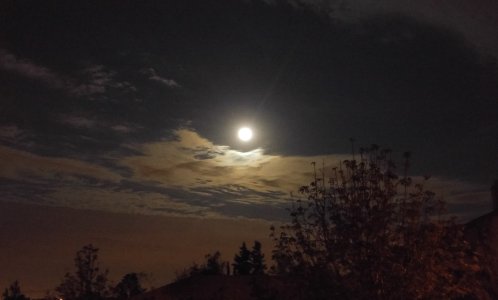 moon_auto.jpg