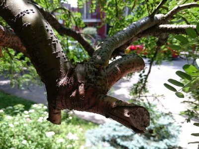 DSC_0829.jpg