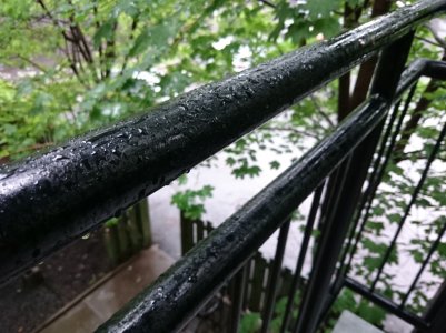 DSC_0846.jpg