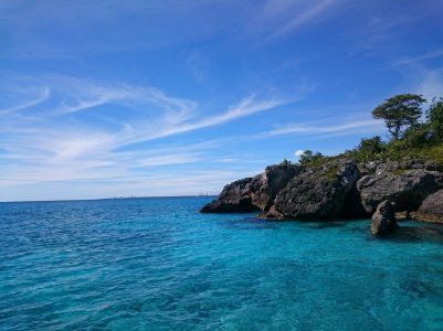 DSC_0536.jpg