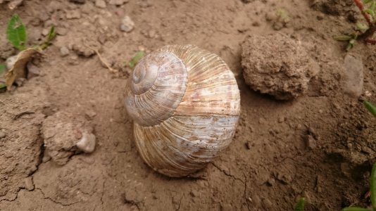 DSC_1005.jpg