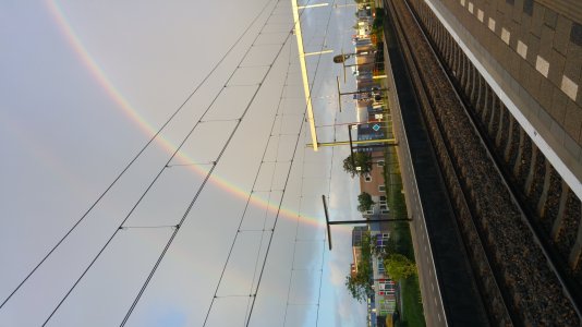 20150623_060149.jpg