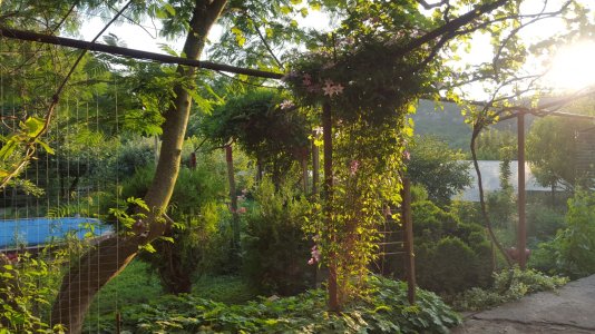 20150626_200147.jpg