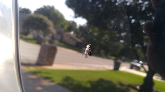 20150723_180033_HDR.jpg