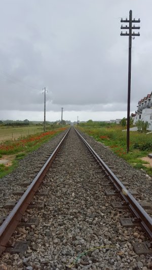 20150426_122511.jpg