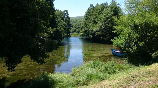 DSC_0142.jpg