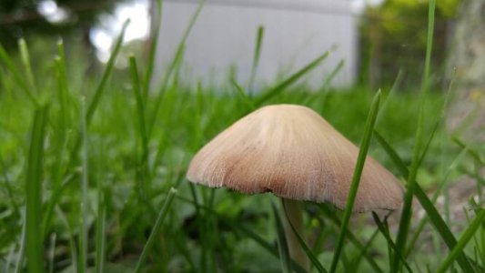 5192.jpg