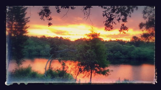 20150526_062937-EFFECTS.jpg