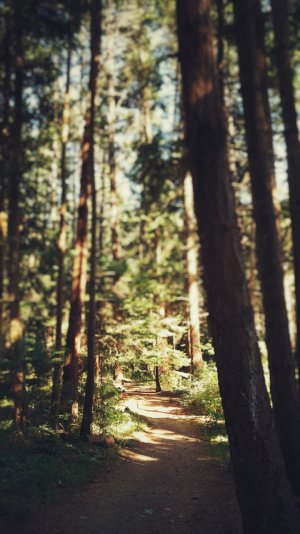 20150701_171428_HDR-01.jpg