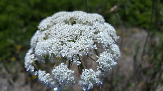20150703_124614.jpg