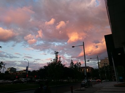 DSC_1147.jpg