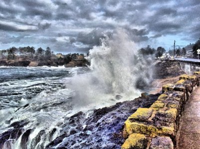 20120105_095015.jpg