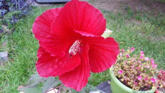 20150625_195014.jpg