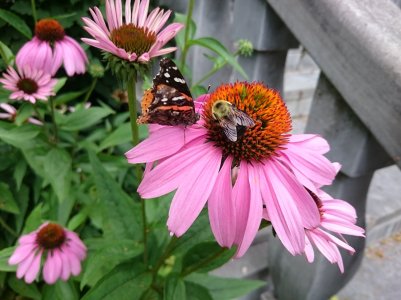 DSC_0927.jpg