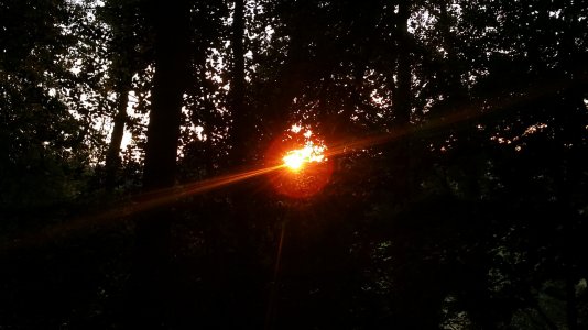 20150730_205106-Edit.jpg