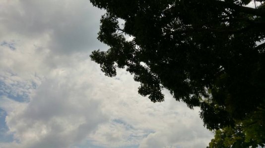 1436940158611.jpg