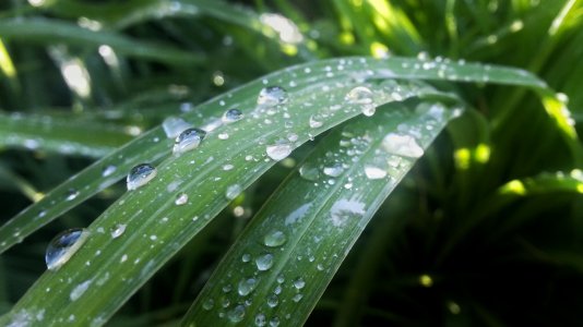 water3.jpg