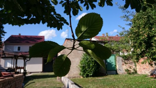 DSC_0319.jpg