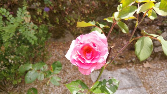 20150712_152710.jpg