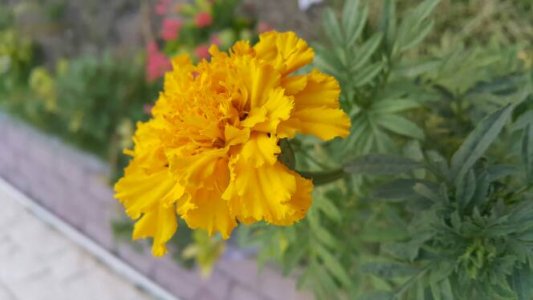 20150713_051659.jpg
