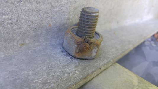 20150617_103504.jpg