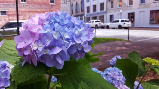 20150523_140911.jpg