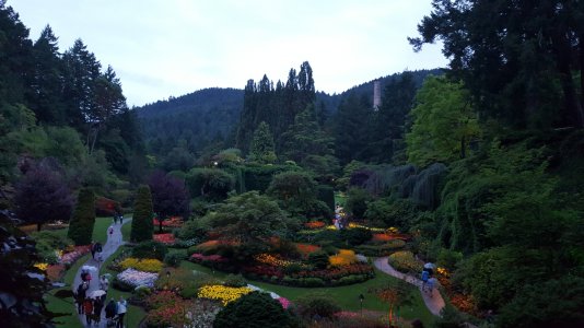 20150712_211228.jpg