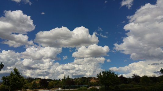 20150731_165641.jpg