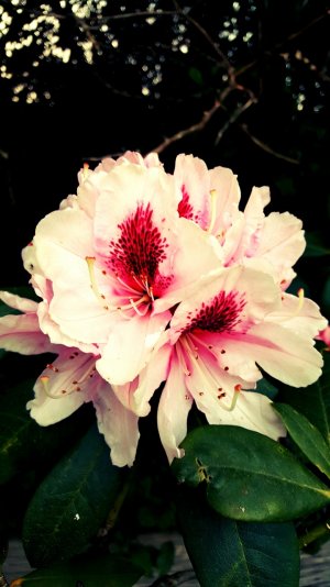 20150415_195541.jpg