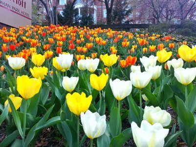 20130413_155720-01.jpg