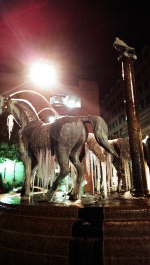 2015-01-08 21.50.02.jpg