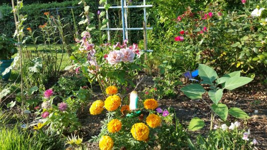 garden photo.jpg