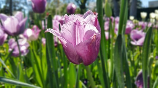 20150329_150636.jpg