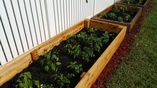 Sawyer Garden.jpg