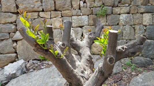 20150607_114007.jpg
