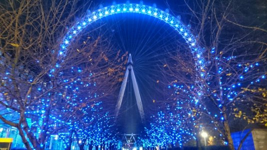 DSC_0118-01.jpeg